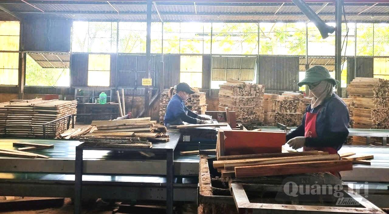 Sản xuất chế biến gỗ sẽ là một trong những lĩnh vực được ưu tiên hỗ trợ máy móc tiên tiến bằng nguồn vốn khuyến công-Ảnh: M.L