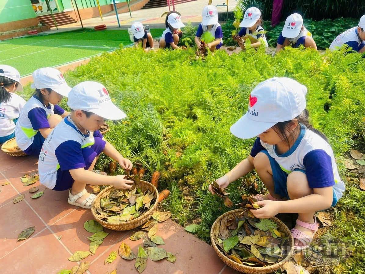 Các cháu Trường mầm non Bảo Ninh-Phân hiệu Phú Hải với hoạt động ngoại khóa bảo vệ môi trường - Ảnh: P.V