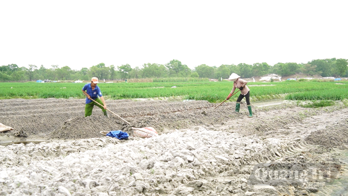 Linh hoạt phát triển kinh tế vùng cát