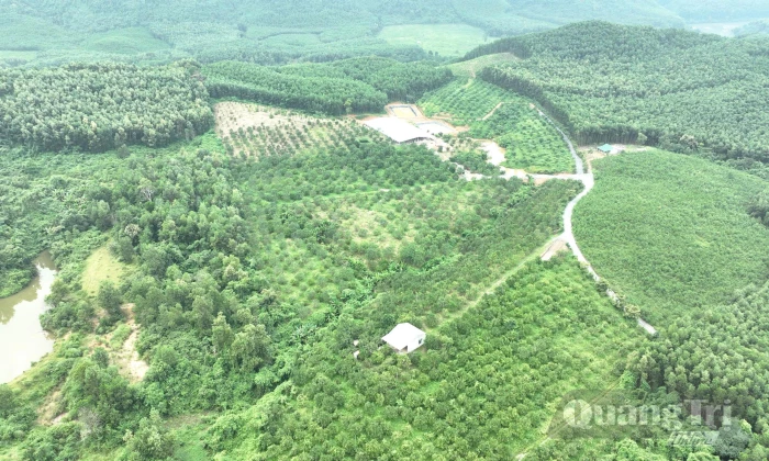Phát triển nông nghiệp bền vững