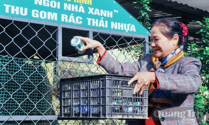 'Ngôi nhà xanh'