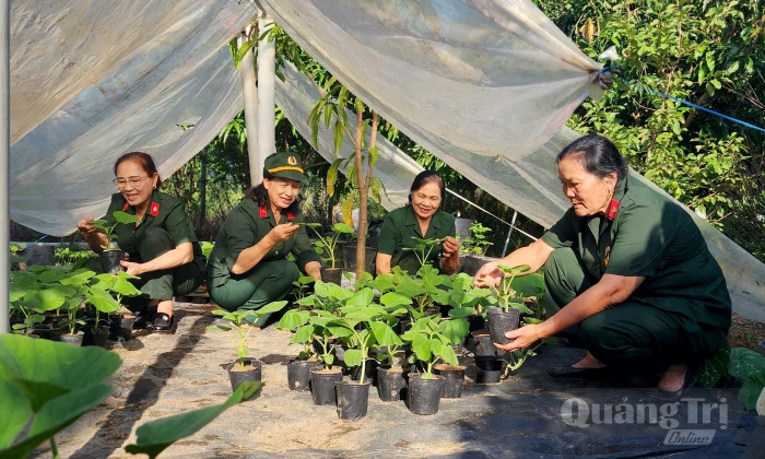 Những cựu chiến binh 'giỏi việc nước, đảm việc nhà'