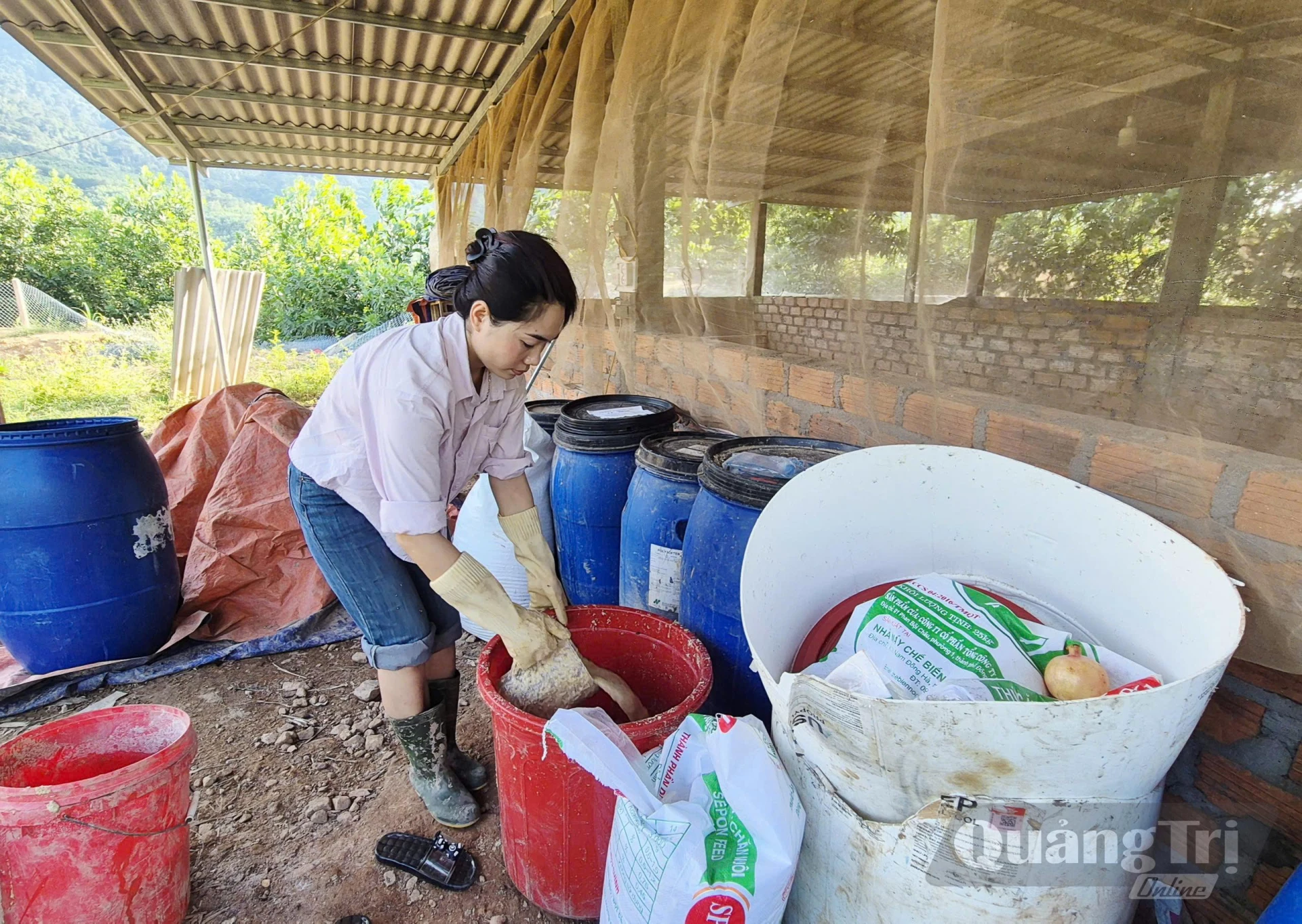 Chị Lê Thị Hải Tăng phối trộn thức ăn lên men vi sinh cho đàn lợn Vân Pa - Ảnh: K.S
