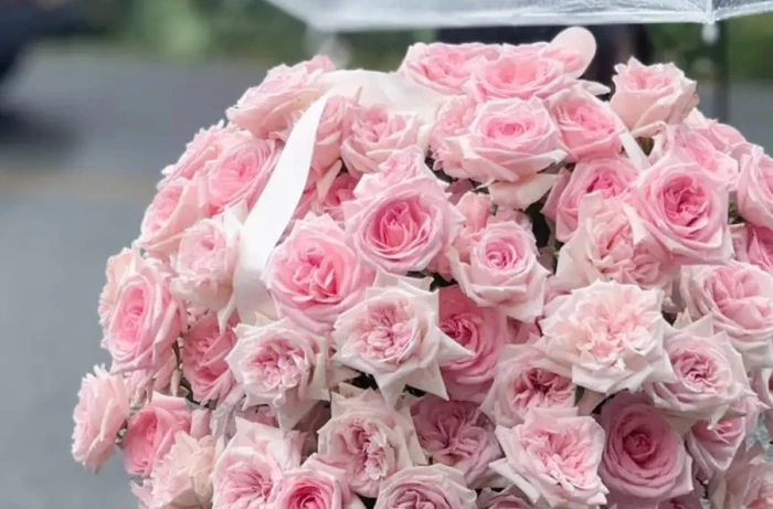 Hoa khai trương đổi mới: từ kệ hoa truyền thống đến lẵng hoa phong cách gardening và chậu lan