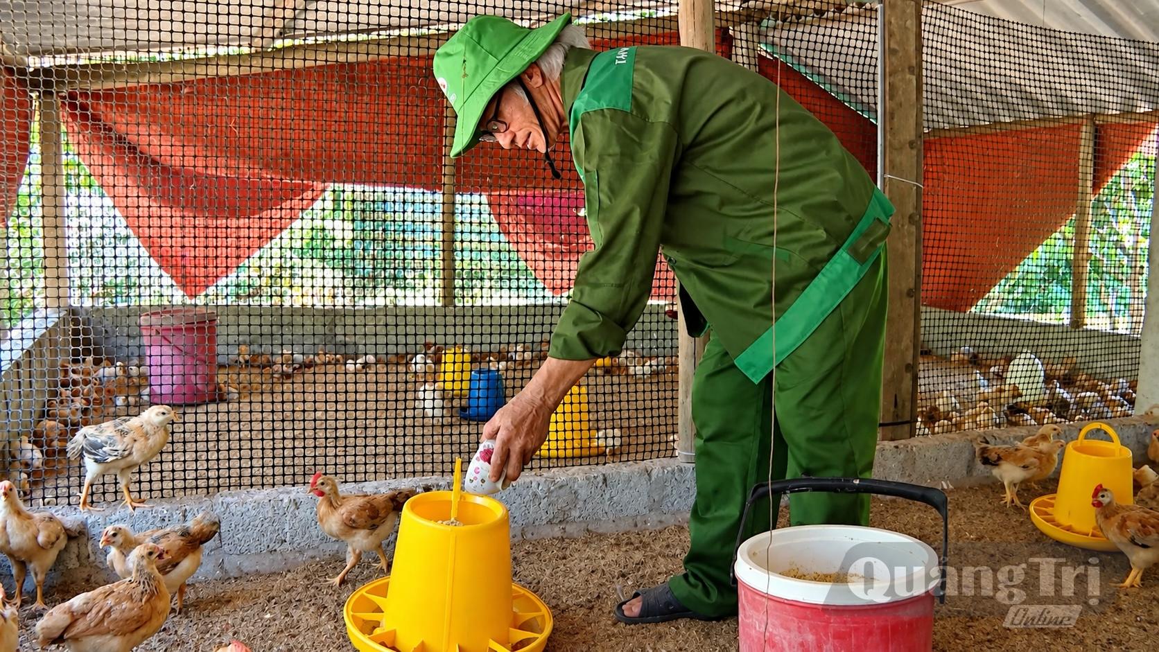 Mô hình chăn nuôi gà hữu cơ bằng đệm lót sinh học của ông Mai Xuân Huệ, xã Tuyên Bình, trong chuỗi giá trị nông sản hữu cơ gắn với kinh tế tuần hoàn Quế Lâm - Ảnh:Q.N