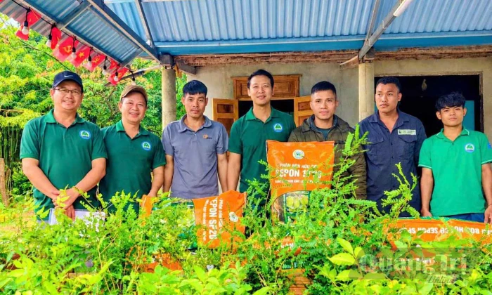 Góp màu xanh cho rừng