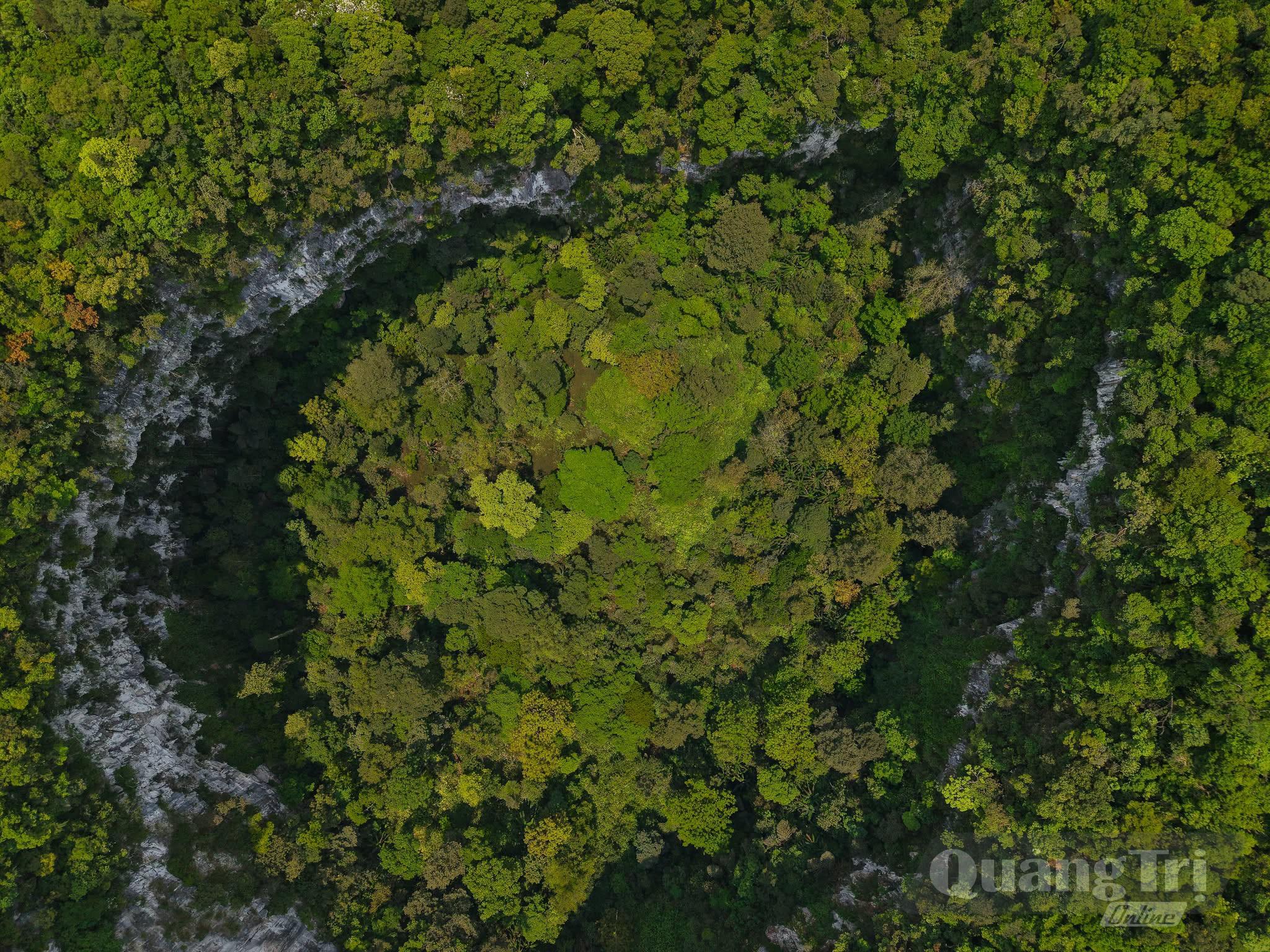 Hố sụt vừa mới phát hiện - Ảnh: Jungle Boss