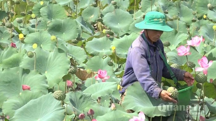 Vươn lên nhờ mô hình kết hợp