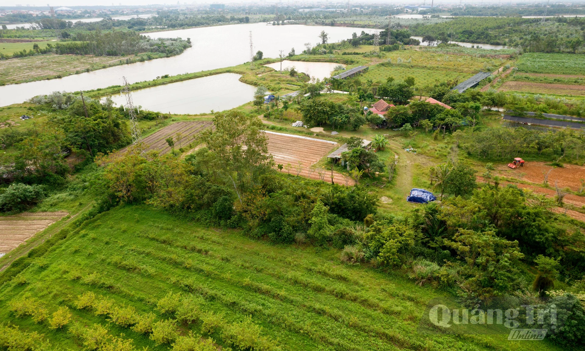 Mênh mông các trang trại trồng trọt tại vùng gò đồi Ba Trang - Ảnh: T.L