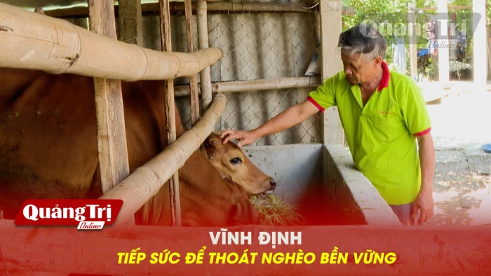 Vĩnh Định: Tiếp sức để thoát nghèo bền vững