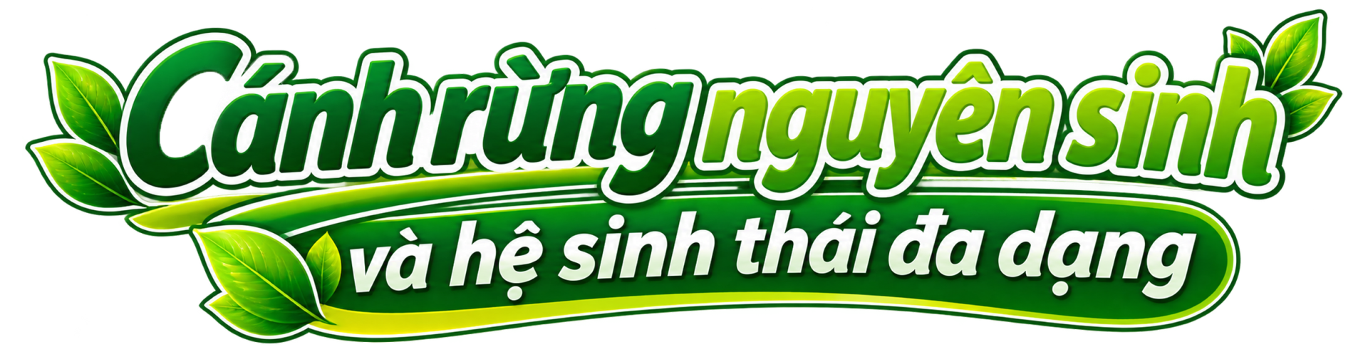 Cánh rừng nguyên sinh và hệ sinh thái đa dạng