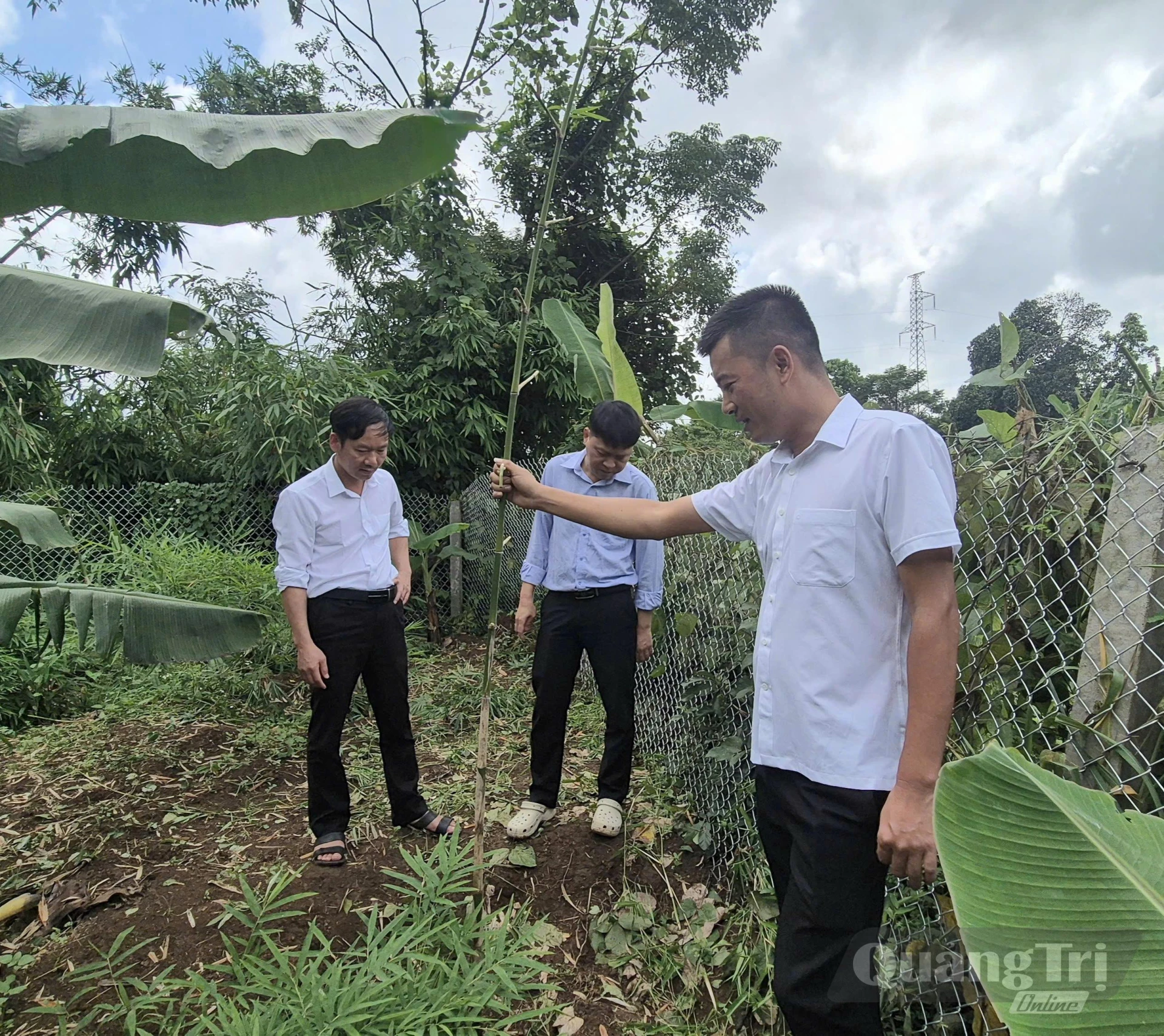 Anh Võ Quang Huy (bên phải) giới thiệu mô hình trồng tre sangmon thử nghiệm với cán bộ địa phương-Ảnh: K.S