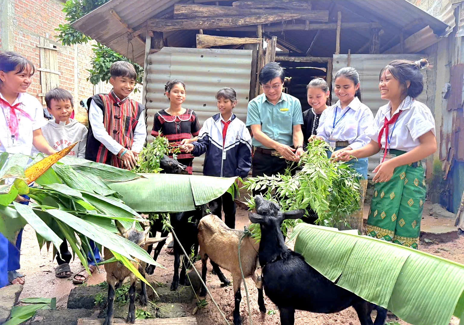 Mô hình Chăn nuôi dê với hộ gia đình do Dự án Plan tài trợ góp phần nhân rộng mô hình nuôi dê nhốt chuồng ở xã Lìa - Ảnh: K.S
