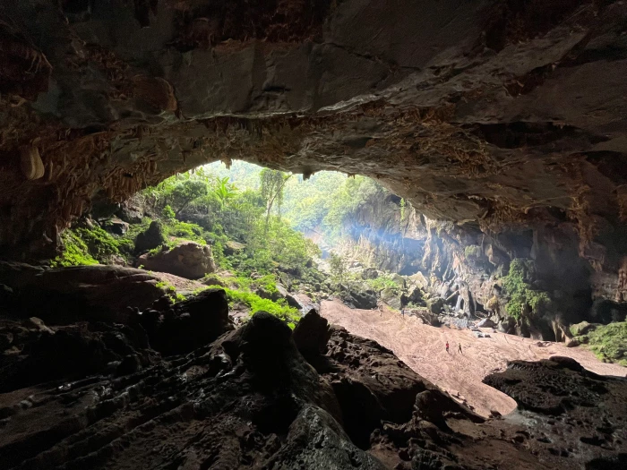 Khám phá Bách xanh đá-hang Kling