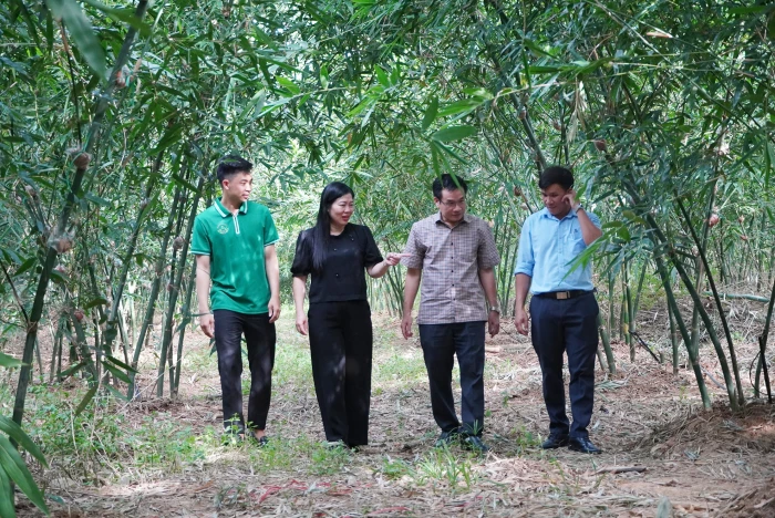 Xây dựng Đảng gắn với phát triển kinh tế