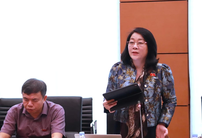 Đại biểu Quốc hội tỉnh Quảng Trị góp ý các dự án luật