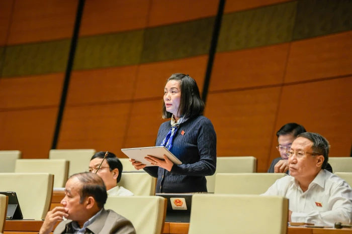 Đoàn ĐBQH tỉnh Quảng Trị tham gia thảo luận Luật Quy hoạch (sửa đổi) và điều chỉnh Quy hoạch tổng thể quốc gia