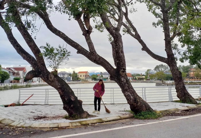 Lặng lẽ xà cừ