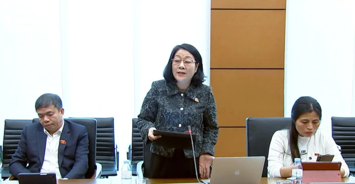 Đại biểu Quốc hội tỉnh Quảng Trị tham gia xây dựng pháp luật