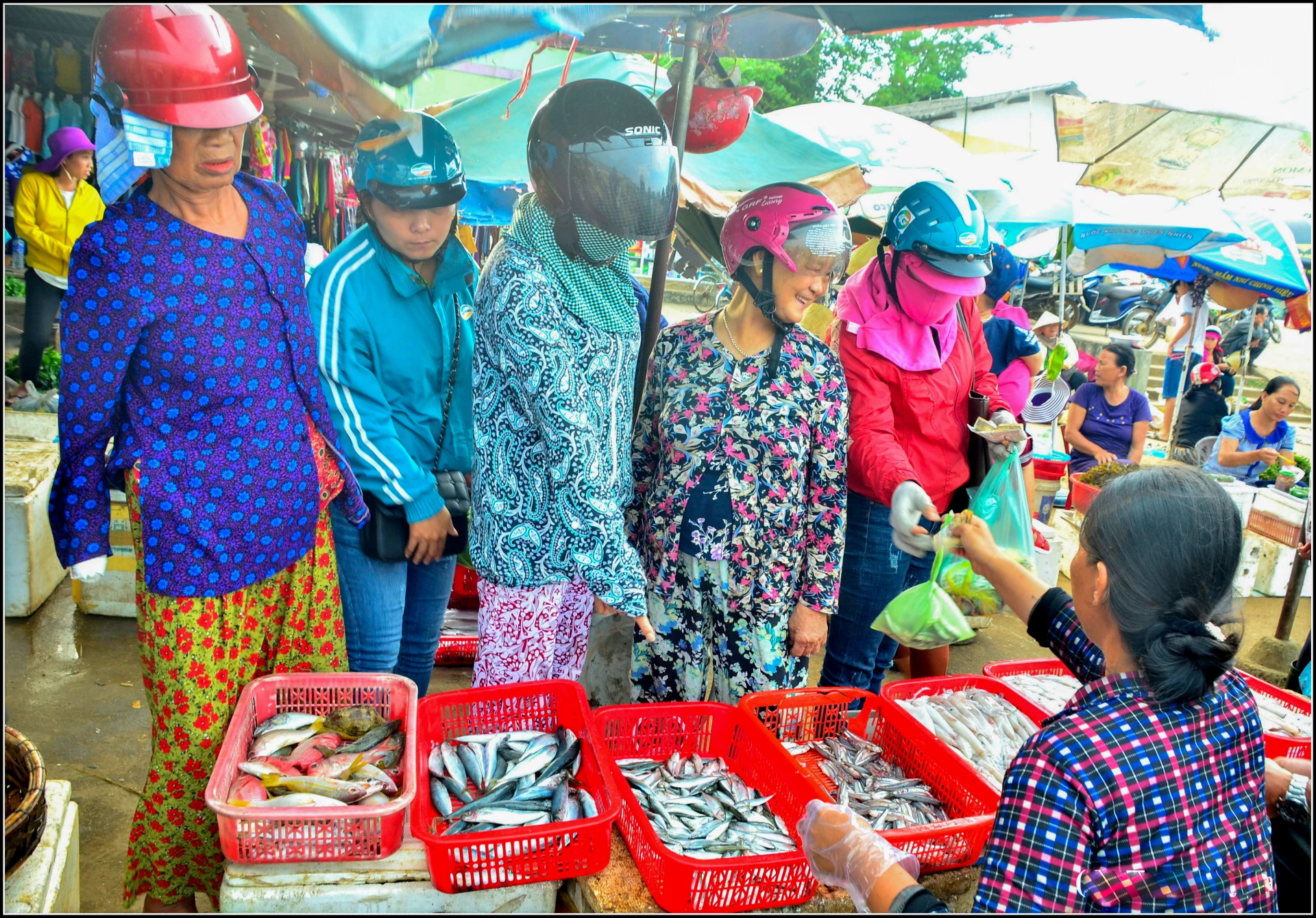 Đa dạng các loại hải sản được bày bán tại chợ cá Cửa Tùng - Ảnh: Trần Tuyền