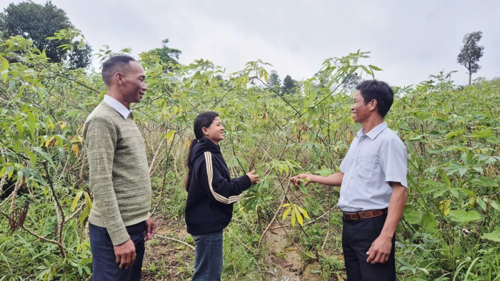 Người biến đất cằn thành cánh rừng xanh