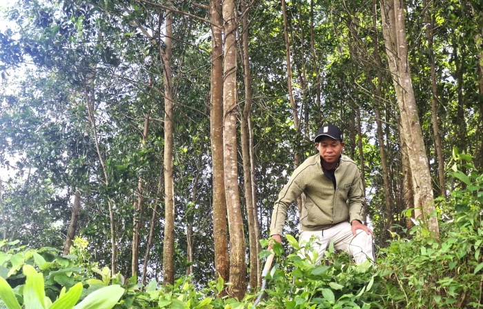 Trồng rừng để trả nợ rừng