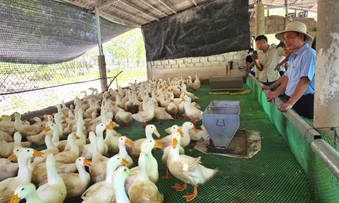 Khẳng định vai trò khuyến nông trong phát triển nông nghiệp