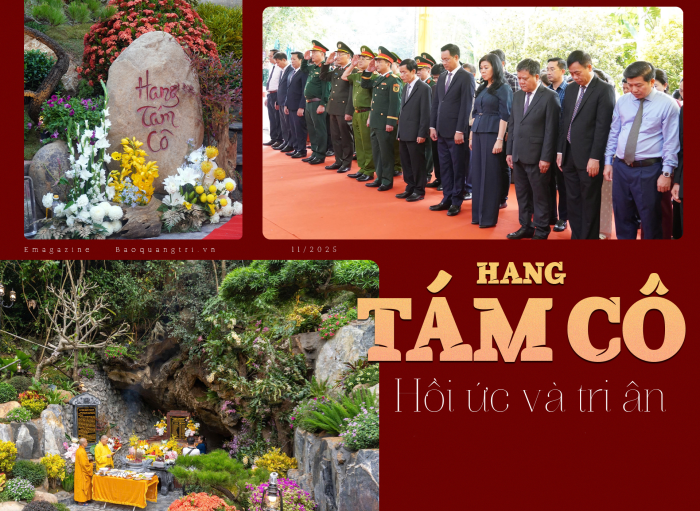 Hang Tám Cô: Hồi ức và tri ân