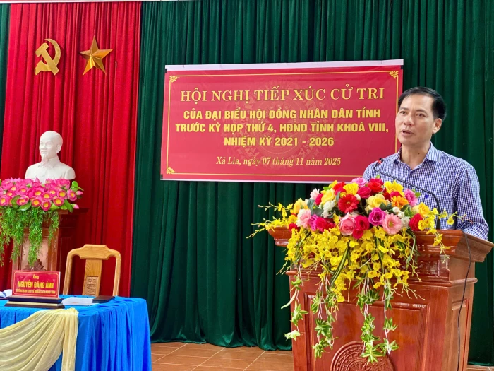 Đại biểu HĐND tỉnh tiếp xúc cử tri trước kỳ họp thứ 4