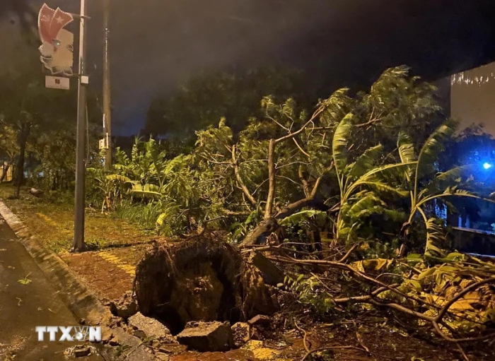 Tin cuối cùng về cơn bão số 13, mưa lớn từ Thanh Hóa đến Đà Nẵng