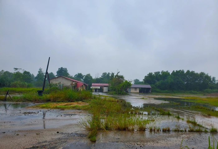 Về việc Công ty TNHH Xây dựng Thống Nhất chây ỳ, không trả đất công tại xã Diên Sanh: Cần xử lý nghiêm theo quy định pháp luật