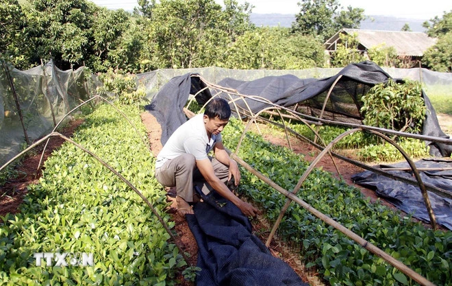 Miễn thuế sử dụng đất nông nghiệp đối với hộ nghèo. (Ảnh: Đồng Thúy/TTXVN)