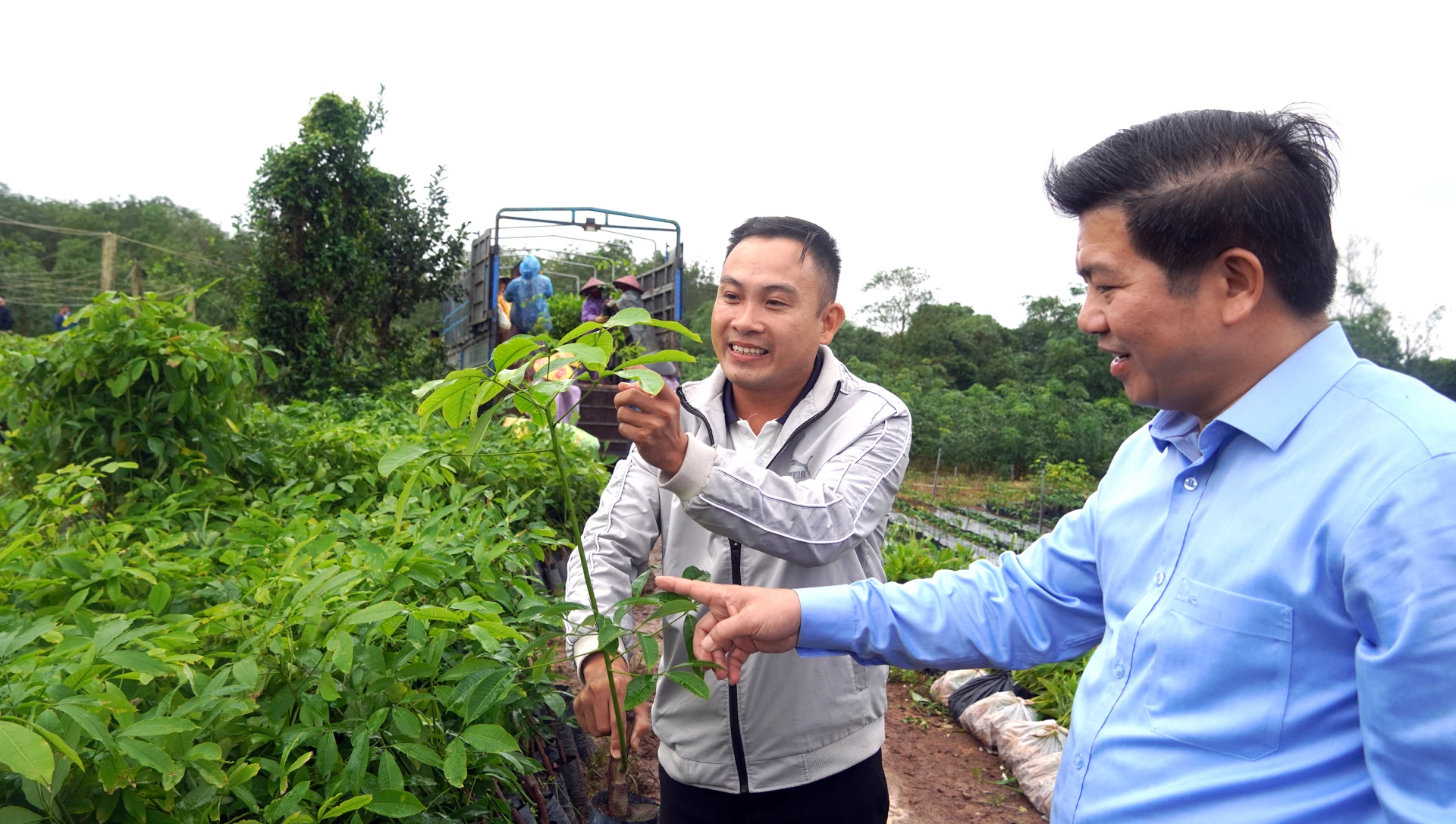 Đồng chí Phó Bí thư Thường trực Tỉnh ủy Trần Vũ Khiêm thăm vườn ươm của Công ty Đức Phúc - Ảnh: N.M
