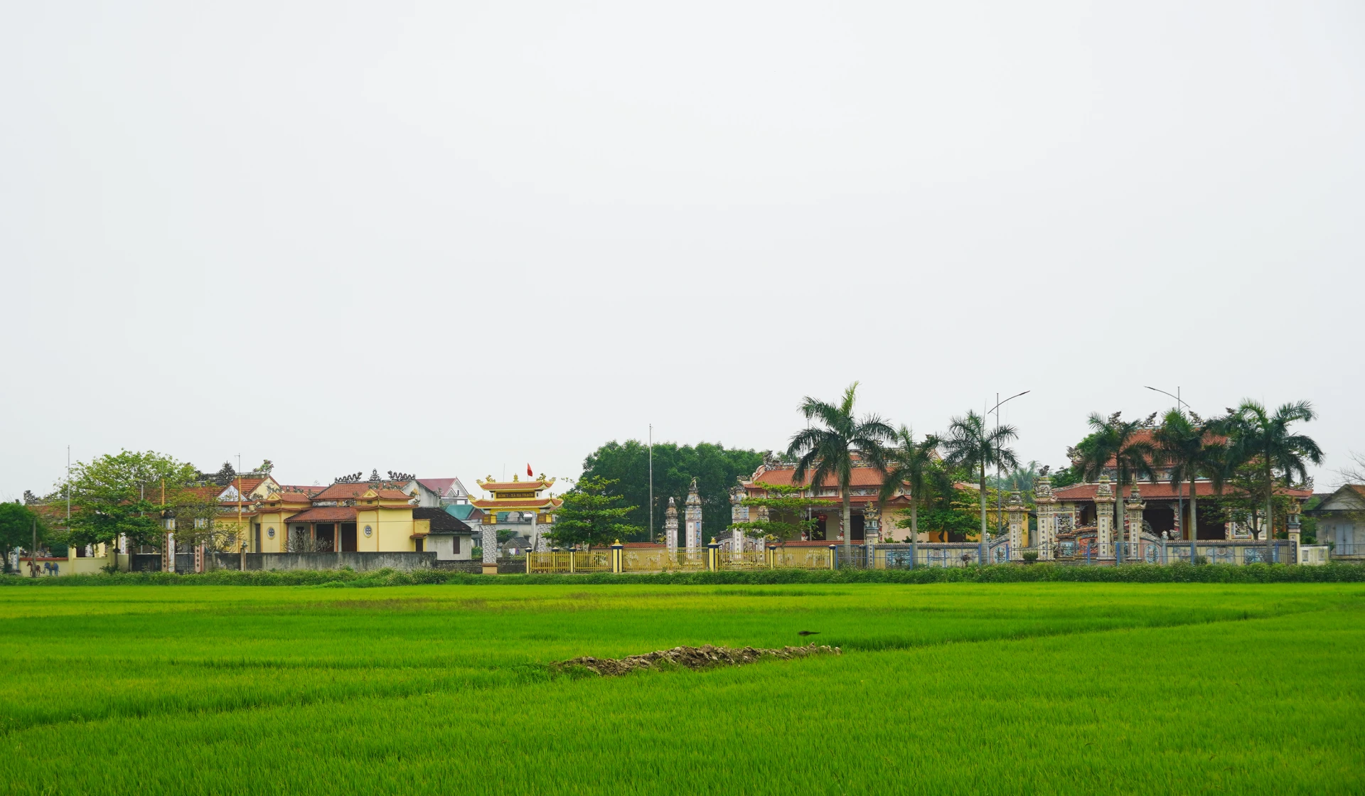 Các nhà thờ họ của làng Cao Lao Hạ, nơi hàng năm diễn ra hoạt động khuyến học-khuyến tài của dòng họ - Ảnh: P.P
