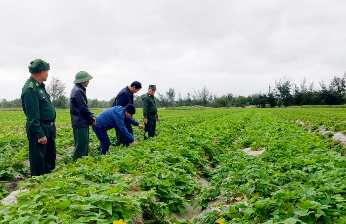 Cát trắng chuyển mình!