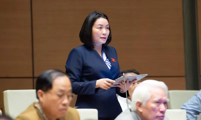 Đại biểu Quốc hội thảo luận về các dự án luật