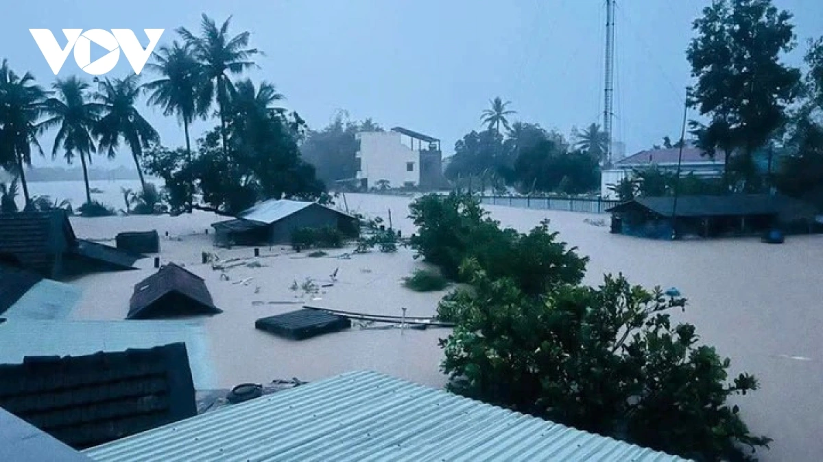 Không khí lạnh tăng cường: Bắc Bộ rét đậm, Nam Trung Bộ mưa lớn diện rộng