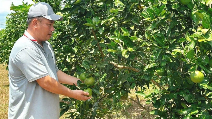 Làm giàu với mô hình kinh tế tuần hoàn