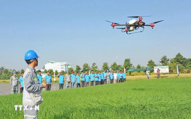 Nông dân tham quan trình diễn mô hình drone (máy bay không người lái) bón phân, phun thuốc trừ sâu cho cây lúa trên cánh đồng ở huyện Thoại Sơn. (Ảnh: Công Mạo/TTXVN)