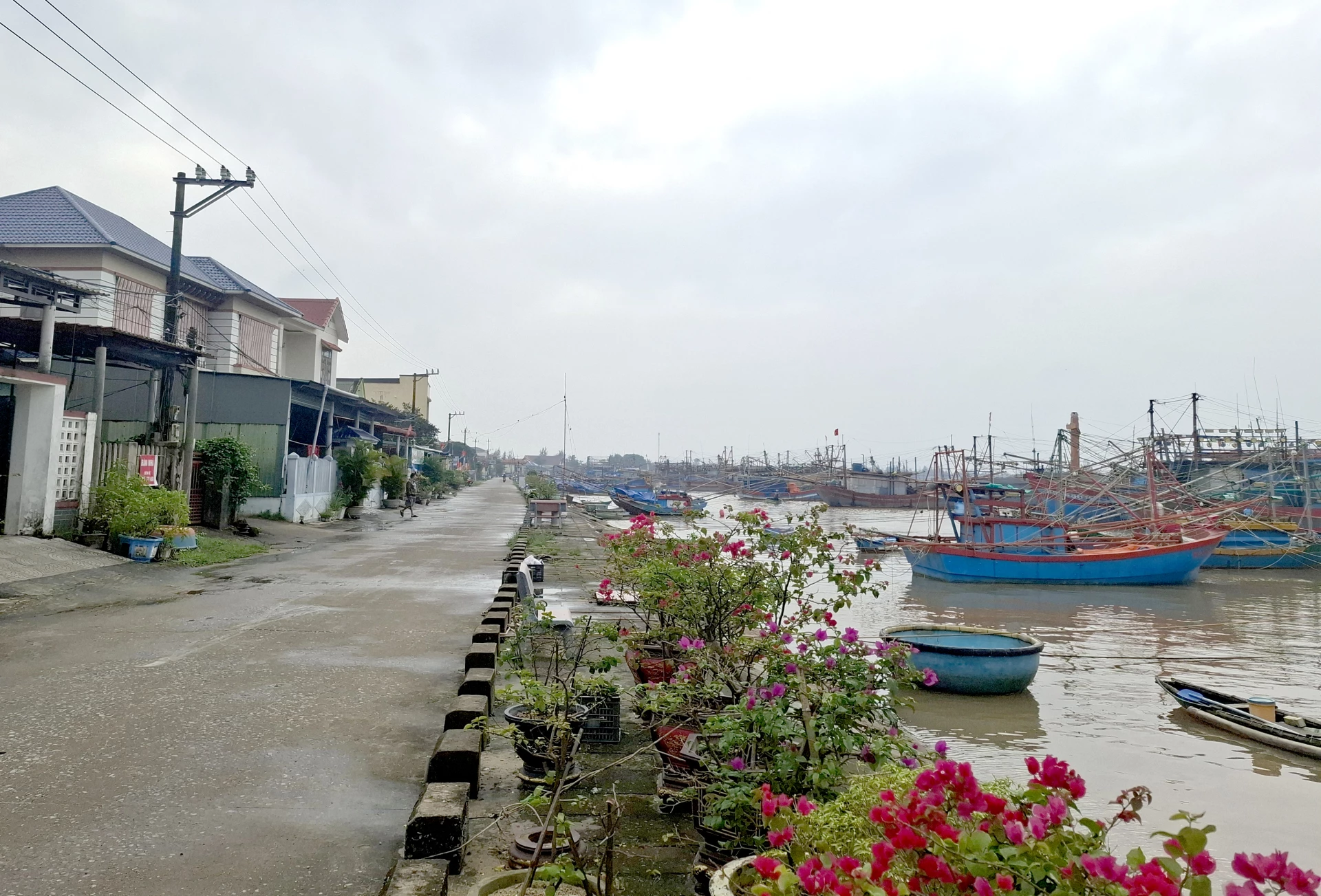 Một góc thôn Phú Hội, xã Nam Cửa Việt - Ảnh: S.H