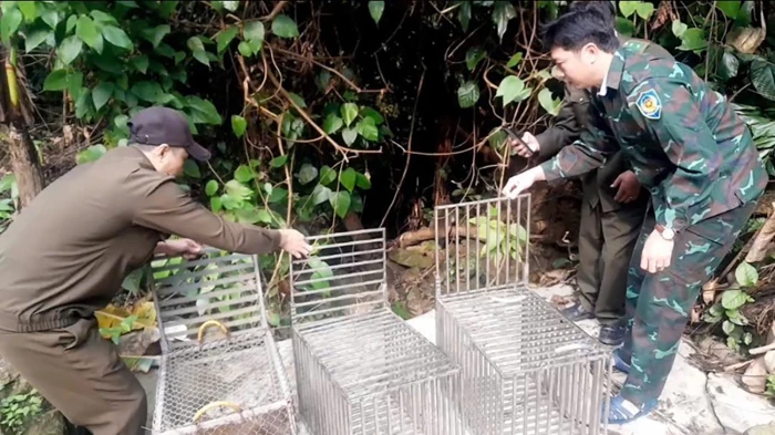 Thả 19 cá thể động vật hoang dã về môi trường tự nhiên