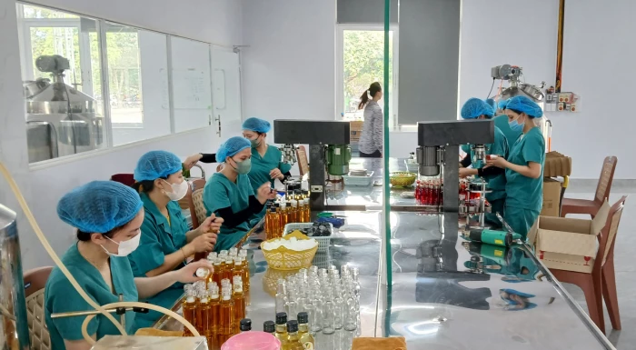 Khi đảng viên tiên phong phát triển kinh tế