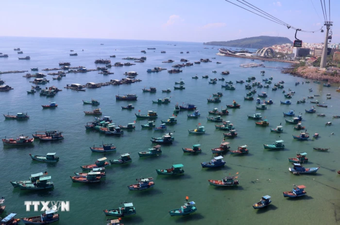 Gỡ 'thẻ vàng' IUU: Các địa phương vào cuộc quyết liệt vì uy tín đất nước