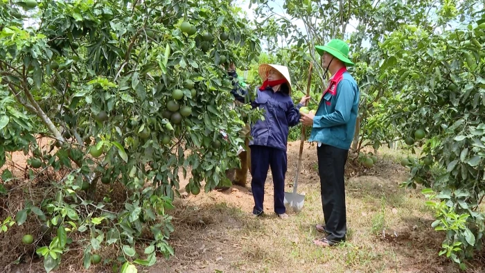 Xây dựng cơ sở dữ liệu lao động gắn với việc thực hiện Đề án 06