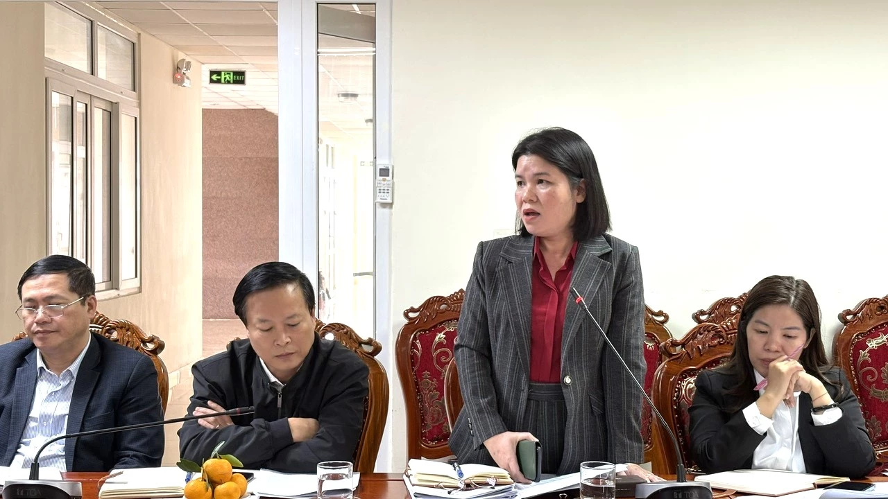 Đại diện các sở, ngành phát biểu tại buổi làm việc - Ảnh: H.L