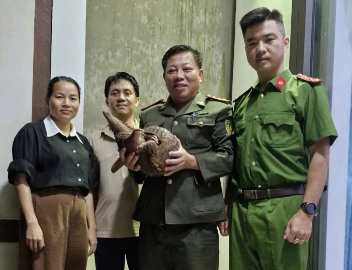 Phát hiện con tê tê 3kg, người đàn ông Quảng Trị bàn giao cơ quan chức năng