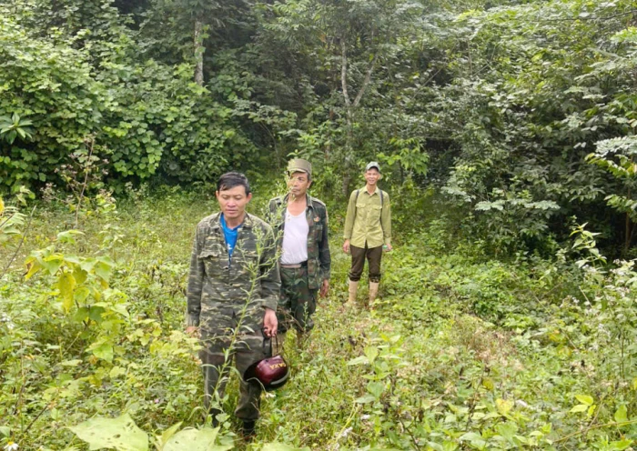 Xã Kim Điền: Nỗ lực bảo vệ rừng