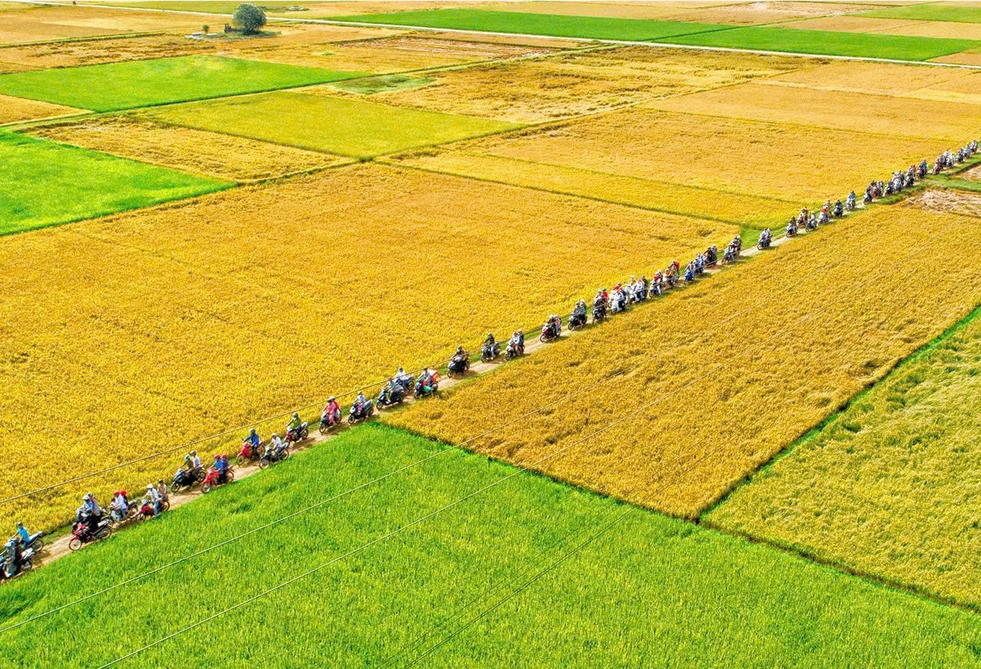 Tác phẩm “Bức tranh quê” của nghệ sĩ nhiếp ảnh Hoàng An - Ảnh: NVCC