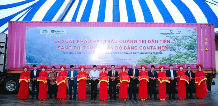 Quảng Trị xuất khẩu lô hàng 60 tấn hạt trẩu đầu tiên sang Ấn Độ