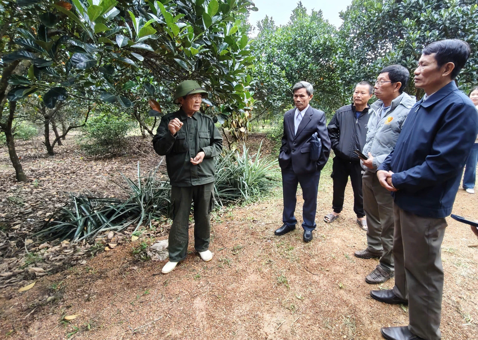 Các học viên tham quan, trao đổi về chăm sóc cây ăn quả theo hướng thích ứng khí hậu tại vườn của ông Nguyễn Văn Diệm, xã Nam Trạch. Ảnh: T.HOA